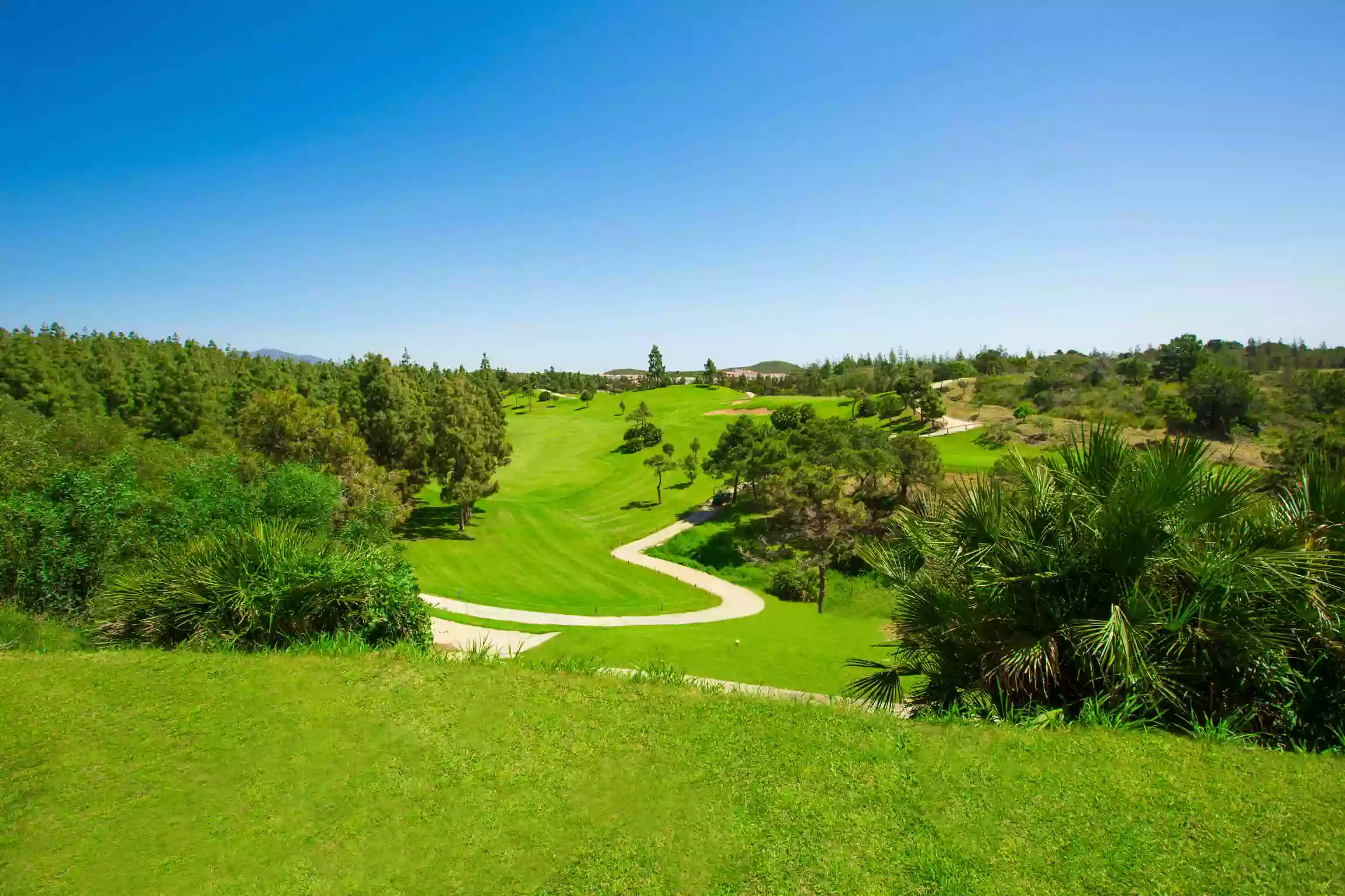 Chaparral Golf