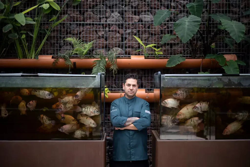 Diego Gallegos, el chef que cultiva pirañas y otros peces para servirlos en su restaurante de Fuengirola