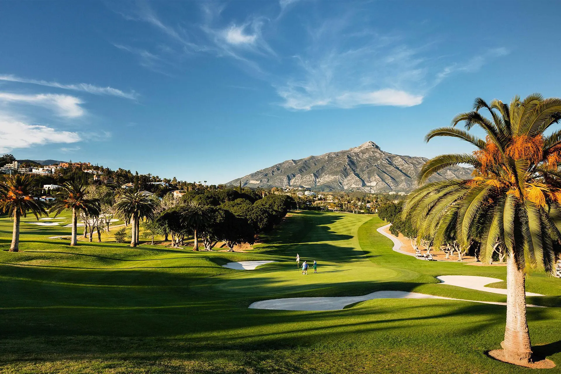 Los Naranjos Golf
